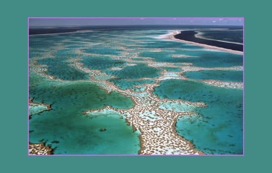 La Gran Barrera de Coral australiana