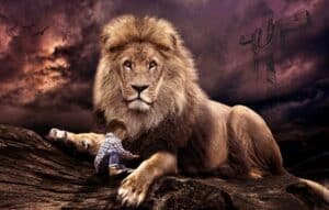 Como Disfrutar de Novelas Turcas