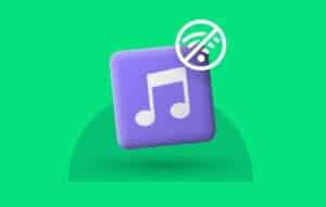 Maximiza tu Conectividad