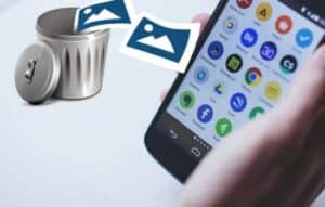 Descubre tu animal interior con Animal Face!