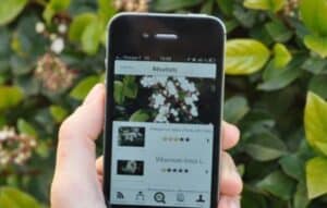 Explora la magia de PlantNet