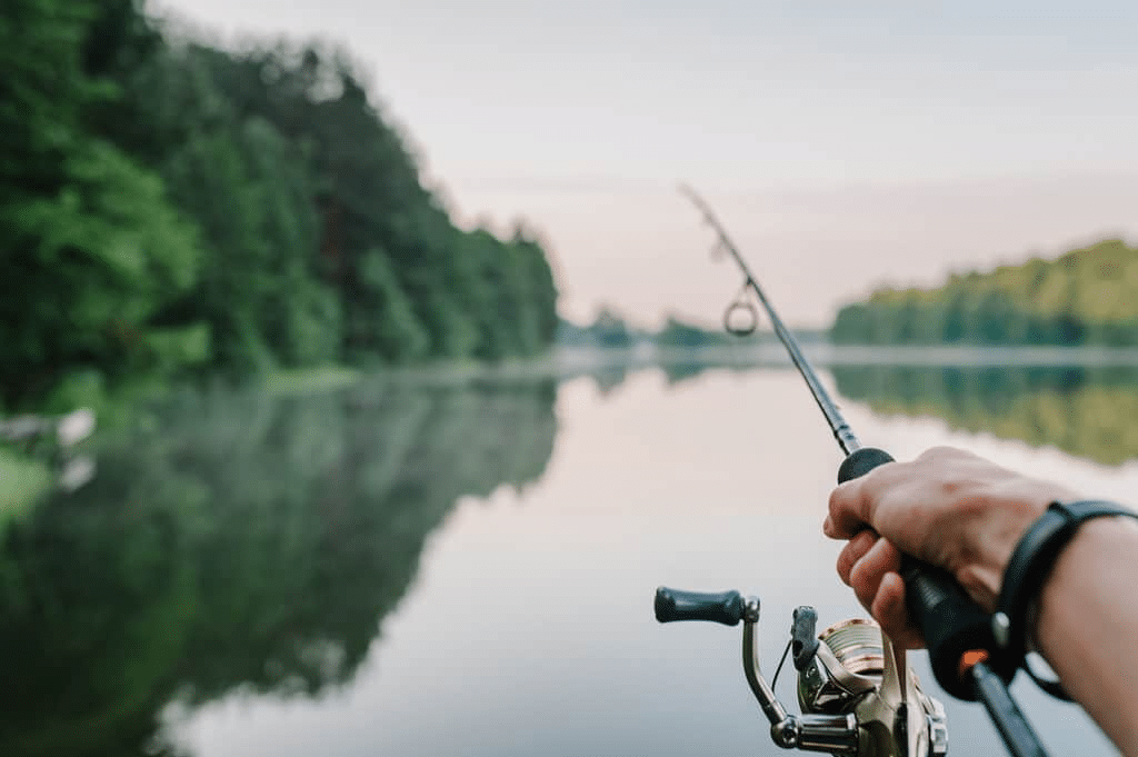 Mejora tu pesca con la ayuda del sonar