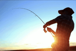 Pesca Eficiente con Sonar