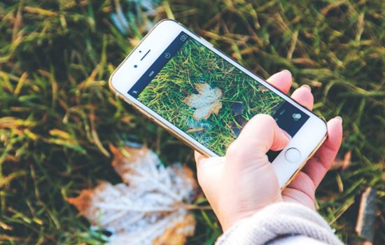 Identifica y Cuida tus Plantas con una App