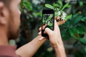 Identifica y Cuida Tus Plantas con Esta App